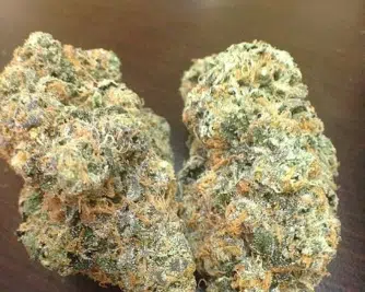 Marijuana Weed