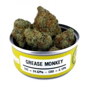 Space Monkey Meds Grease Monkey