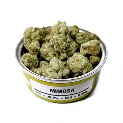 Space Monkey Meds Mimosa