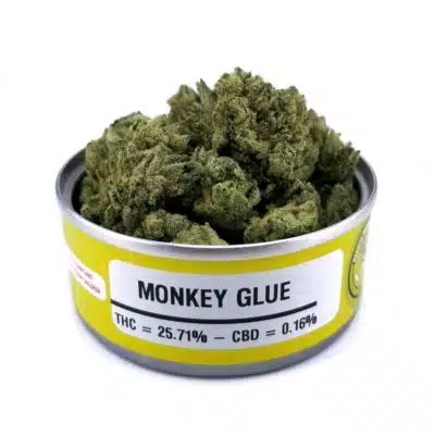 Space Monkey Meds Monkey Glue