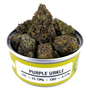 Space Monkey Meds Purple Urkle