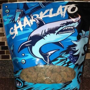 Buy Sharklato Runtz Weed