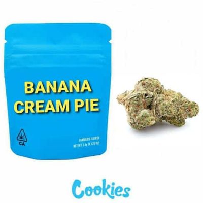 Banana Cream Pie (HYBRID) | Berner Cookies 3.5G Premium Flower