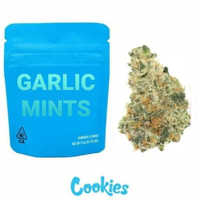 Garlic Mints (HYBRID) | Berner Cookies 3.5G Premium Flower