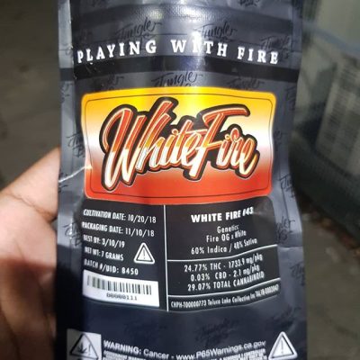White Fire (Hybrid) – Jungle Boys Weed Strains 7G Buds