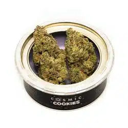 Cosmic Cookies West Coast Cure 1/8th Canned Flower (3.5g)