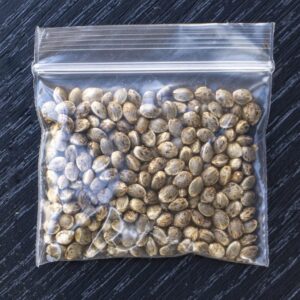 Buy Afghan Kush Seeds Online
