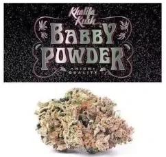 Babby Powder Grandiflora