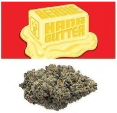 bernie hana butter cookies