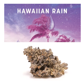 Hawaiian Rain Cookies weed