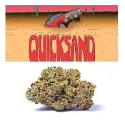 Quicksand Cookies weed
