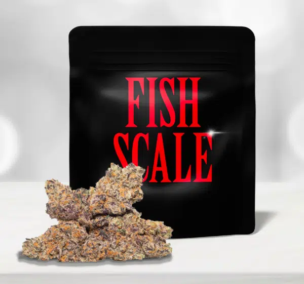fish scale cookies strain 