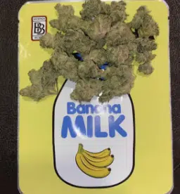 Banana Milk (Hybrid) | Backpack boyz Weed | 3.5G Cannabis