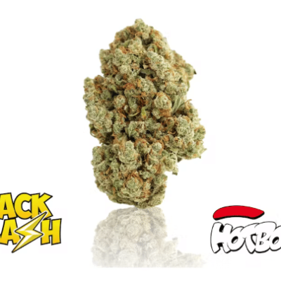 Jack Flash Hotbox weed