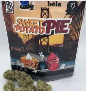 Sweet Potatoe Pie Backpack Boyz